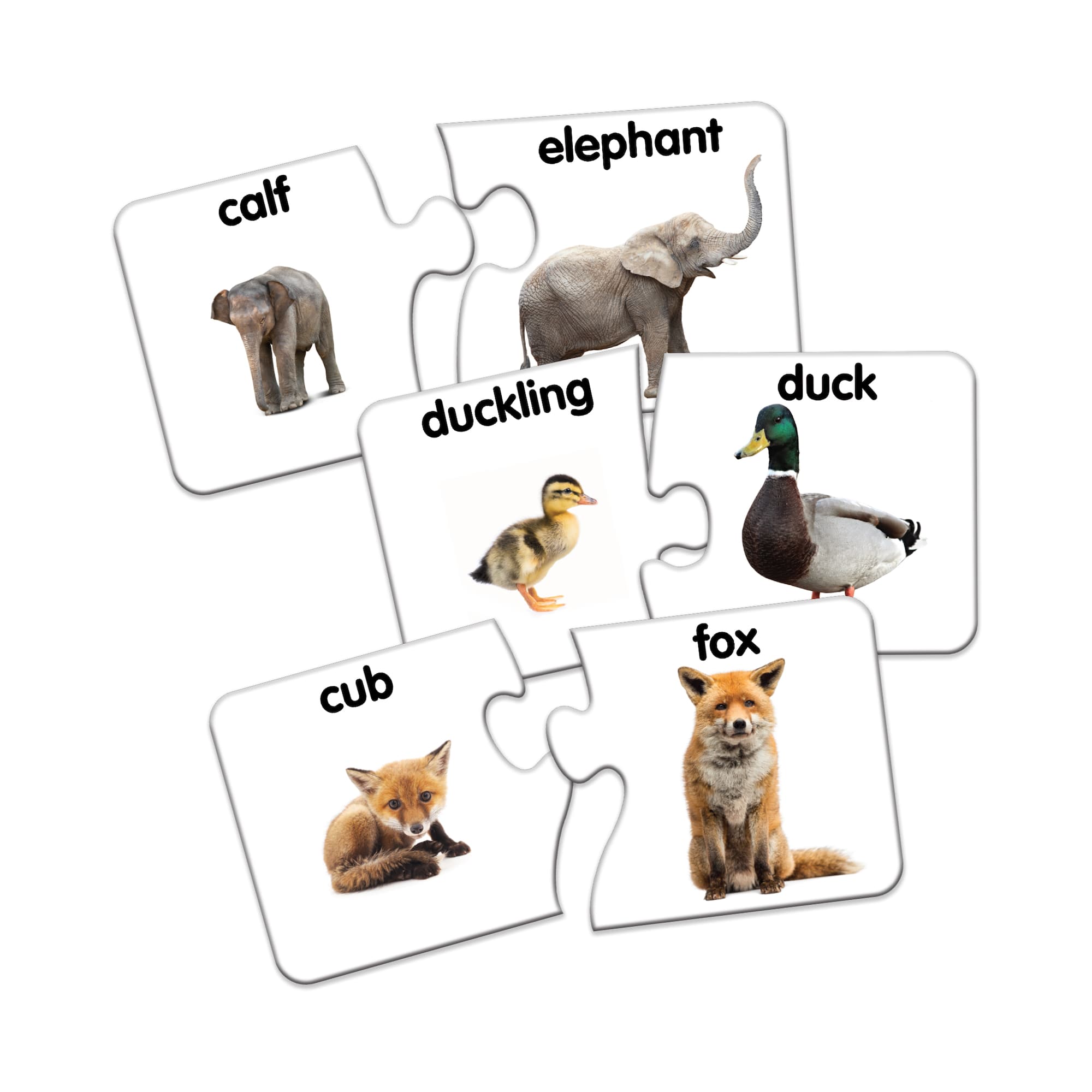 Match It! - Animal Families